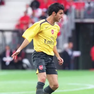 Arsenal Pre-Season Print 2006