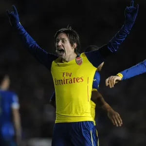 Arsenal's Rosicky Scores in FA Cup Victory over Brighton & Hove Albion Arsenal's Rosicky Scores in FA Cup Victory over Brighton & Hove Albion