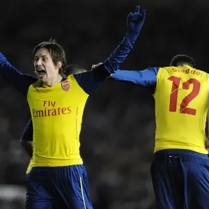 Arsenal's Rosicky Scores Hat-Trick: FA Cup Victory over Brighton Arsenal's Rosicky Scores Hat-Trick: FA Cup Victory over Brighton