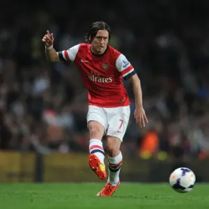 Arsenal's Rosicky Shines in Action-Packed Arsenal v Newcastle United Premier League Clash Arsenal's Rosicky Shines in Action-Packed Arsenal v Newcastle United Premier League Clash
