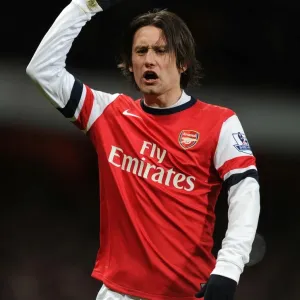 Arsenal's Tomas Rosicky in Action Against Manchester United (2013-14)