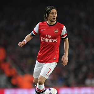 Arsenal's Tomas Rosicky in Action Against Newcastle United (2014)
