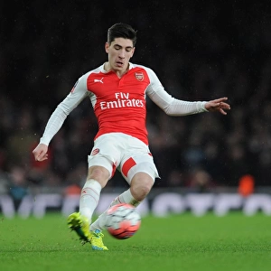 Arsenal's Triumph: Hector Bellerin's Standout Performance in FA Cup Victory over Sunderland (3-1), Emirates Stadium (January 9, 2015)