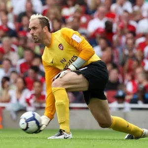 Arsenal's Triumph: Manuel Almunia's Perfect Game - 3-0 Victory Over Rangers