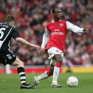 Arsenal's Triumph over Newcastle United: Clash between Hoyte and Milner in the FA Cup Fourth Round (2008), Arsenal 3:0
