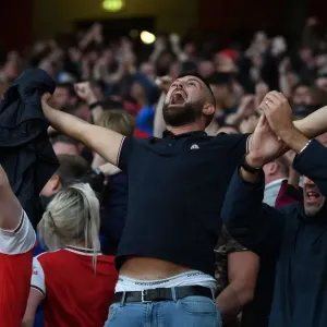 Arsenal's Triumphant Third Goal: Arsenal FC vs Aston Villa, Premier League 2019-20