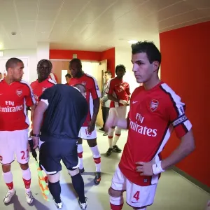 Arsenal's Unbeatable Duo: Manuel Almunia and Cesc Fabregas Lead 2-0 Victory Over Manchester City, Barclays Premier League, Emirates Stadium, 2009