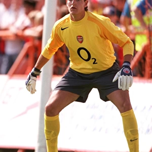Arsenal's Unyielding Guardian: Mannone - The Unwavering Arsenal FC Goalkeeper