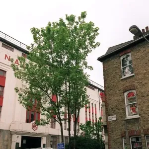 Arsenal's Victory: Arsenal Stadium, Highbury, London - Arsenal 4:2 Tottenham Hotspur, FA Premiership (2006)
