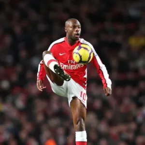 Arsenal's William Gallas Secures 2-0 Victory Over Stoke City in Barclays Premier League
