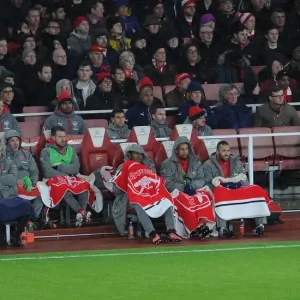 Arsene Wenger on the Arsenal Bench: Arsenal v Crystal Palace, Premier League 2016-17 Arsene Wenger on the Arsenal Bench: Arsenal v Crystal Palace, Premier League 2016-17