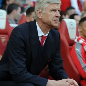 Arsene Wenger: Arsenal Manager at Emirates Stadium (2016-17)
