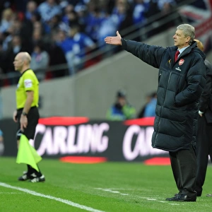 Arsene Wenger at the Carling Cup Final: Arsenal 1:2 Birmingham City