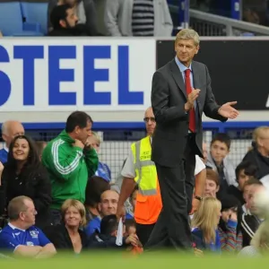 Arsene Wenger's Dominant Victory: Arsenal 6-1 Everton, Premier League, 2009 Arsene Wenger's Dominant Victory: Arsenal 6-1 Everton, Premier League, 2009