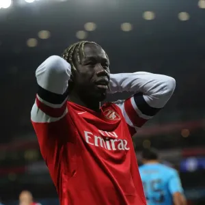 Bacary Sagna in Action: Arsenal vs Marseille, UEFA Champions League 2013-14 Bacary Sagna in Action: Arsenal vs Marseille, UEFA Champions League 2013-14