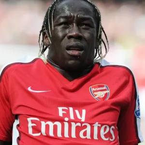 Bacary Sagna (Arsenal). Arsenal 1: 0 Wolverhampton Wanderers, FA Barclays Premier League