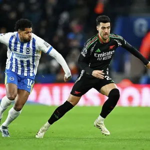Brighton & Hove Albion FC v Arsenal FC - Premier League