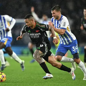 Brighton & Hove Albion FC v Arsenal FC - Premier League