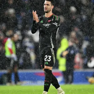 Brighton & Hove Albion FC v Arsenal FC - Premier League Brighton & Hove Albion FC v Arsenal FC - Premier League