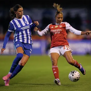 Brighton & Hove Albion v Arsenal - Barclays Women's Super League<br> Brighton & Hove Albion v Arsenal - Barclays Women's Super League