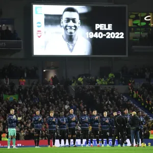 Brighton & Hove Albion v Arsenal FC - Premier League