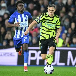 Brighton & Hove Albion v Arsenal FC - Premier League Brighton & Hove Albion v Arsenal FC - Premier League