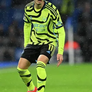 Brighton & Hove Albion v Arsenal FC - Premier League Brighton & Hove Albion v Arsenal FC - Premier League