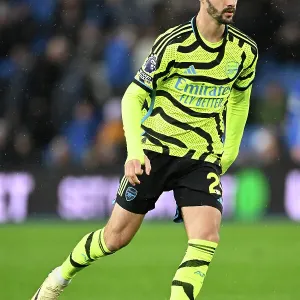 Brighton & Hove Albion v Arsenal FC - Premier League Brighton & Hove Albion v Arsenal FC - Premier League