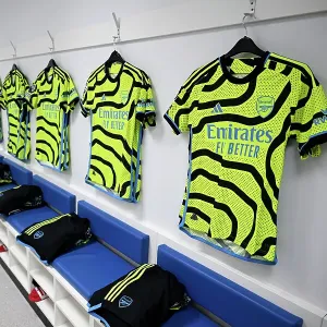 Brighton & Hove Albion v Arsenal FC Print