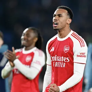 Brighton & Hove Albion v Arsenal - Premier League Brighton & Hove Albion v Arsenal - Premier League