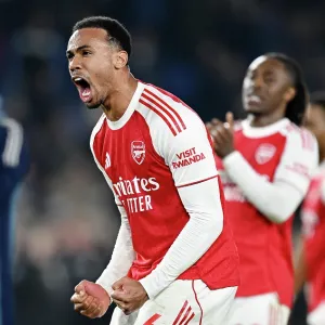 Brighton & Hove Albion v Arsenal - Premier League Brighton & Hove Albion v Arsenal - Premier League