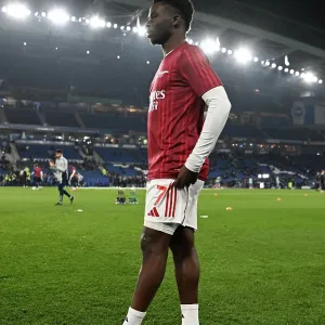 Brighton & Hove Albion v Arsenal - Premier League Brighton & Hove Albion v Arsenal - Premier League