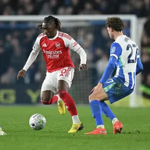 Brighton & Hove Albion v Arsenal Print
