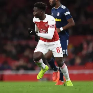Bukayo Saka (Arsenal). Arsenal 4: 1 Fulham. Premier League. Emirates Stadium, 1 / 1 / 19 Bukayo Saka (Arsenal). Arsenal 4: 1 Fulham. Premier League. Emirates Stadium, 1 / 1 / 19