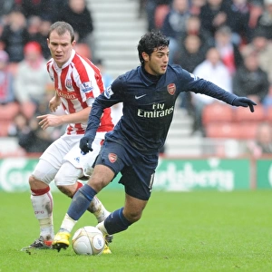 Carlos Vela (Arsenal) Glenn Whelan (Stoke). Stoke City 3: 1 Arsenal, FA Cup 4th round