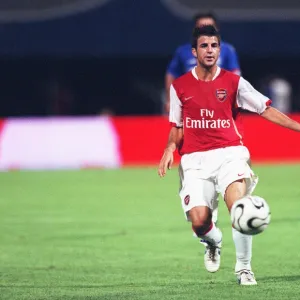 Ces Fabregas (Arsenal)