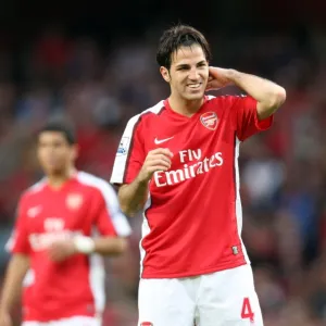 Cesc Fabergas (Arsenal)