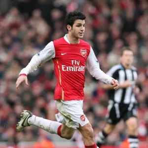 Cesc Fabregas in Action: Arsenal's 3-0 FA Cup Victory over Newcastle United, Emirates Stadium (January 2008)
