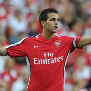 Cesc Fabregas Print: Action Photo, 2009 Barclays Premier League Match