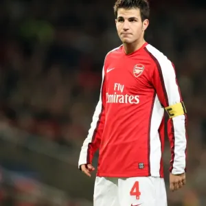 Cesc Fabregas: Architect of Arsenal's 1-0 UEFA Champions League Triumph over Dynamo Kiev (November 25, 2008)