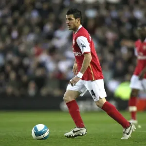 Cesc Fabregas (Arsenal)