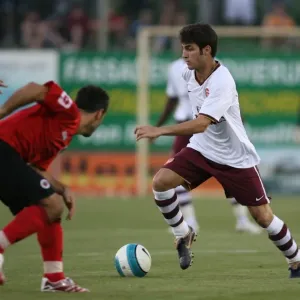 Cesc Fabregas (Arsenal) Cesc Fabregas (Arsenal)