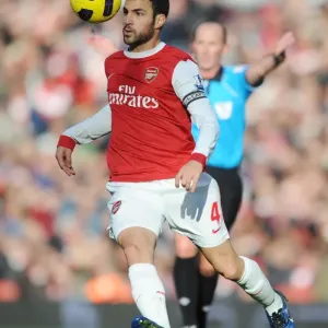 Cesc Fabregas (Arsenal). Arsenal 0: 1 Newcastle United, Barclays Premier League Cesc Fabregas (Arsenal). Arsenal 0: 1 Newcastle United, Barclays Premier League