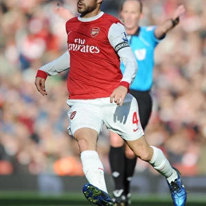 Cesc Fabregas (Arsenal). Arsenal 0: 1 Newcastle United, Barclays Premier League