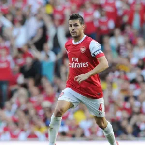 Cesc Fabregas (Arsenal). Arsenal 4: 1 Blackburn Rovers, Barclays Premier League
