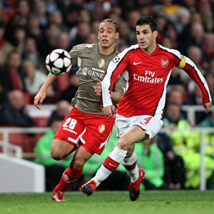 Cesc Fabregas (Arsenal) Axel Witsel (Liege)