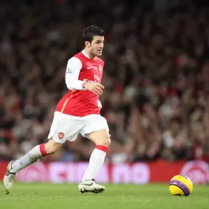 Cesc Fabregas (Arsenal) Cameron Jerome (Birmingham)