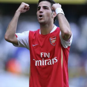 Cesc Fabregas (Arsenal) celebrates after his goal