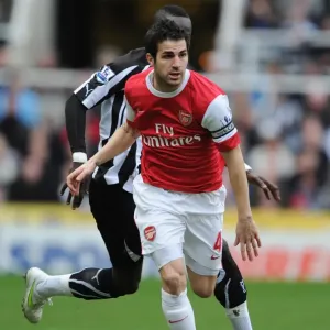 Cesc Fabregas (Arsenal) Cheik Tiote (Newcastle). Newcastle United 4: 4 Arsenal
