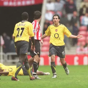 Cesc Fabregas Print, Sunderland vs Arsenal 2006 Cesc Fabregas Print, Sunderland vs Arsenal 2006